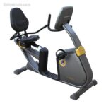 دوچرخه ثابت پشتی دار هورایزن LiveStrong LS5 (2)
