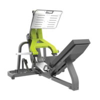 دستگاه پرس پا وزنه آزاد دی اچ زد DHZ Y950S