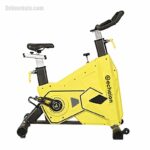 دوچرخه اسپینینگ باشگاهی اچ لون echelon EF1029 (2)