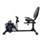 دوچرخه ثابت پشتی دار پاندا Panda 533R