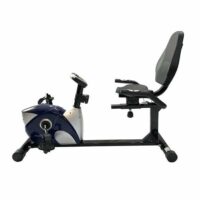 دوچرخه ثابت پشتی دار پاندا Panda 533R