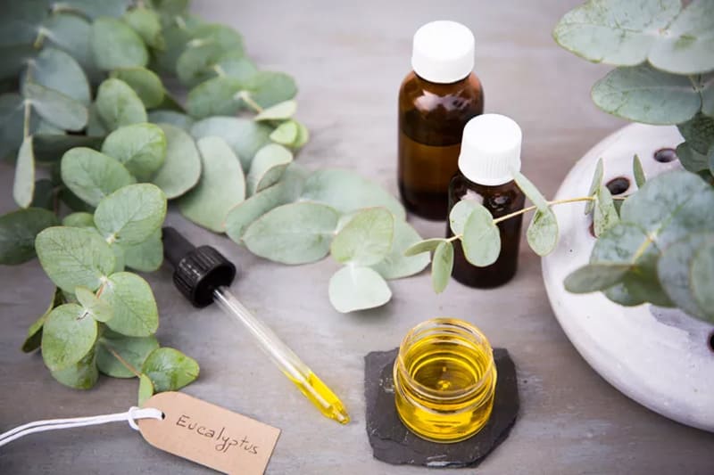 راهنمای خرید روغن ماساژ اصل ؛ از کجا بخریم؟ 1