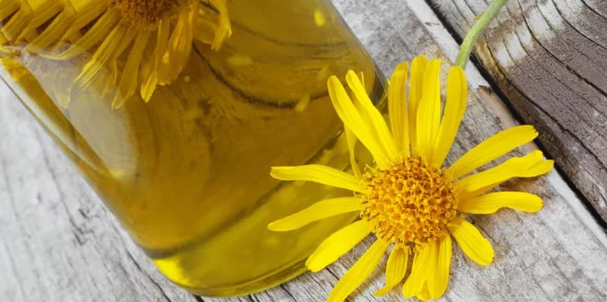 آشنایی با فواید روغن آرنیکا