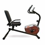 دوچرخه ثابت پشتی دار پاندا Panda L360