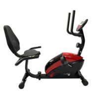 دوچرخه ثابت پشتی دار پاندا Panda R352