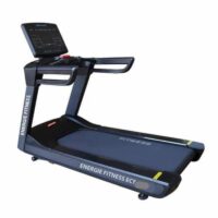 تردمیل باشگاهی اکوفیت EcoFit H9